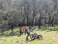 One student pushes a ground-penetrating radar unit up a slope at the cemetery, while two other students in background complete documentation