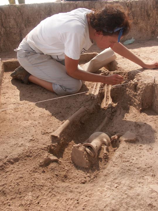 Professor participating in archeological dig